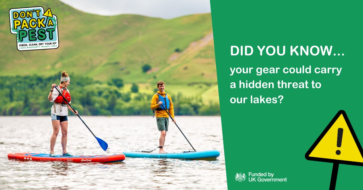Eden Rivers Trust (@edenriverstrust) on Twitter photo 🚨Our lakes are under threat from invasive species. Just one dog or paddleboard can transport a tiny invader from one lake to another.
We’ve launched #DontPackAPest with @westcumbriariverstrust + <a href="/scrt_uk/">ukuk</a>.
Check. Clean. Dry. Every time.
westcumbriariverstrust.org/dont-pack-a-pe…
#LakeDistrict #INNS 🚨Our lakes are under threat from invasive species. Just one dog or paddleboard can transport a tiny invader from one lake to another.
We’ve launched #DontPackAPest with @westcumbriariverstrust + <a href="/scrt_uk/">ukuk</a>.
Check. Clean. Dry. Every time.
westcumbriariverstrust.org/dont-pack-a-pe…
#LakeDistrict #INNS