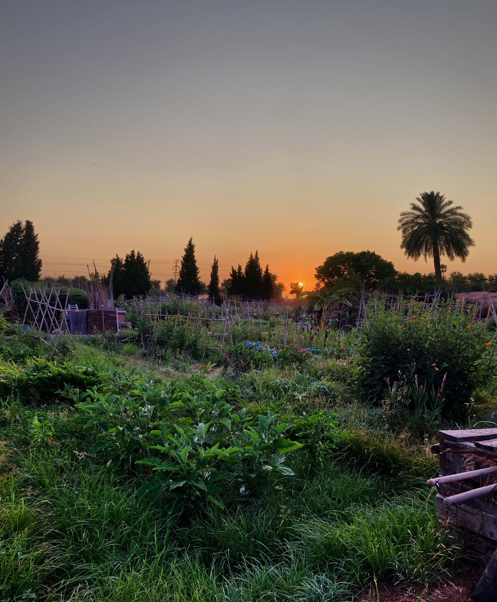 Una preciosa eixida de sol en els horts per gentilesa de paumik.es

Una preciosa salida de sol en los huertos por gentileza de paumik.es