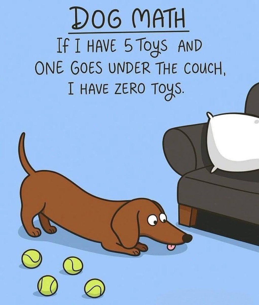 Out of Context Human Race (@nocontexthumans) on Twitter photo 