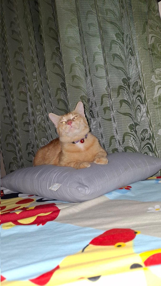 Stop pose lucu y to!