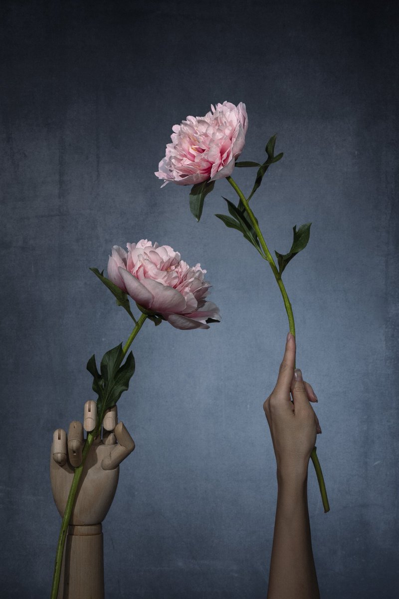 Two worlds: one artificial, created by human hands; the other alive, full of warmth and emotion. The contrast between the artificial and the real, does not divide them—it unites them in a shared pursuit of beauty and harmony.

now in the <a href="/ozr_15/">oz</a> collection! Thank you!☺️🥹🩵

gm☕️