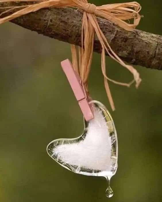 ...

       ...

               ...

#هل_يجوز_التواصل_بعد_الفراق

لا تراقب مكان لم يعد لگ !

لا تراقب أشخاص ماتت مشاعرهم 
تجاهگ !
.
لا تراقب شخص بدلگ
وانسحب
من حياتگ !
.
اعبر محطات الألم فأنت قادر !!