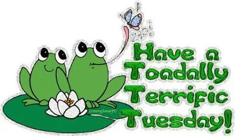 Yvonne Robinson (@nuclearmom01) on Twitter photo 