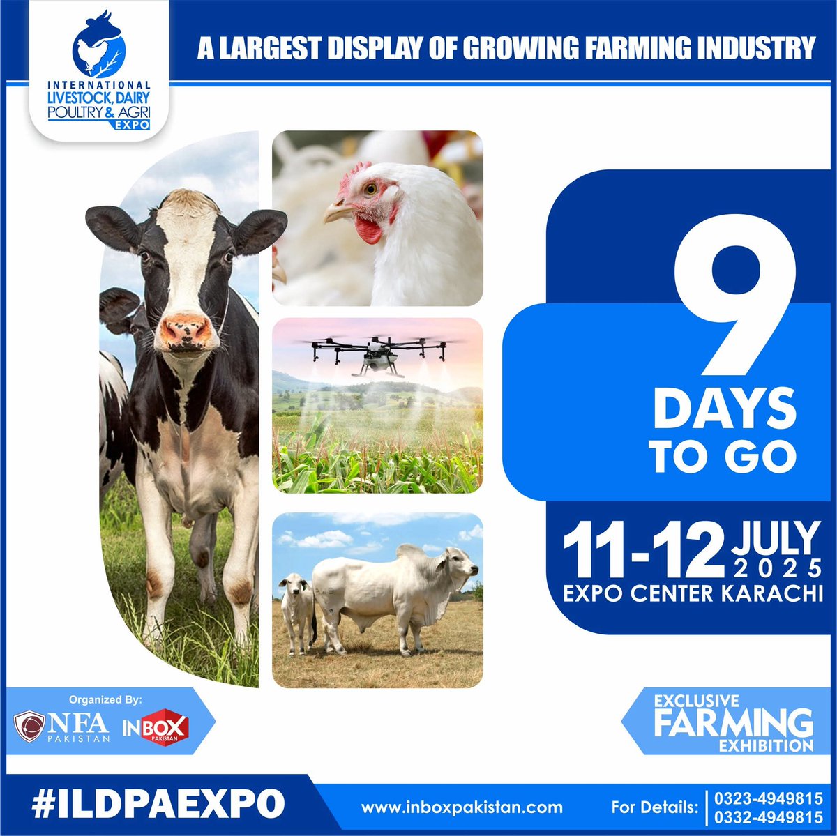 SehrishINBOX's tweet photo. #ILDPA2025 https://t.co/TAdacoopsp