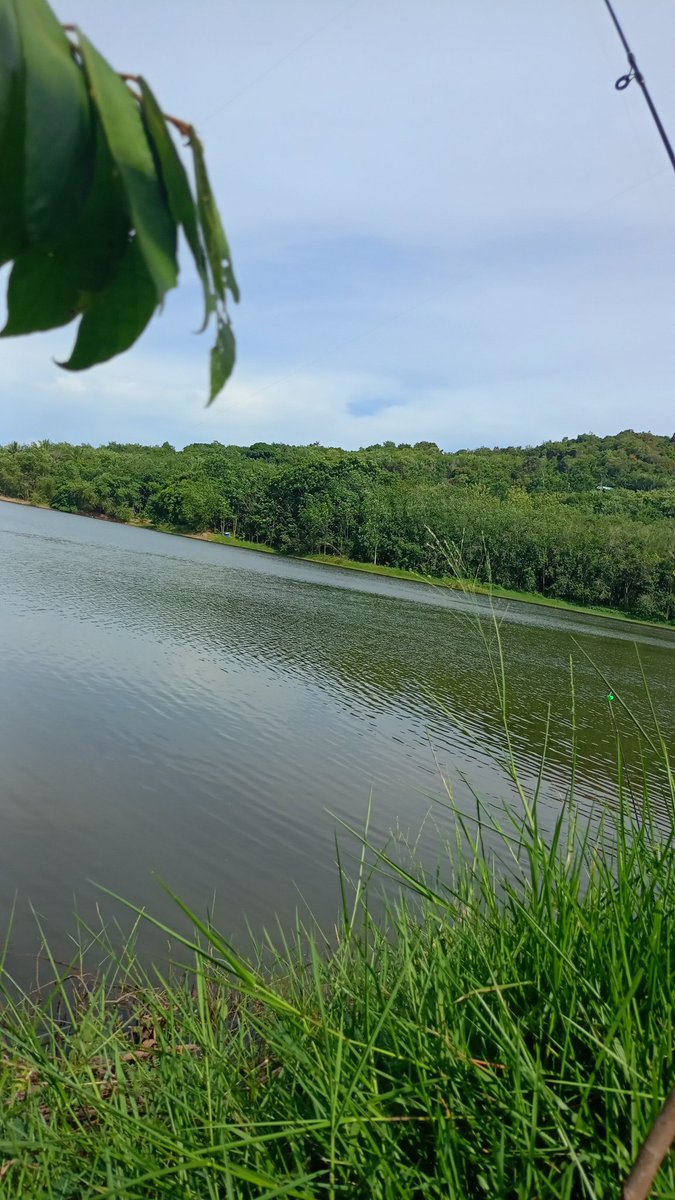 ร้อนบ้า
#สงขลา