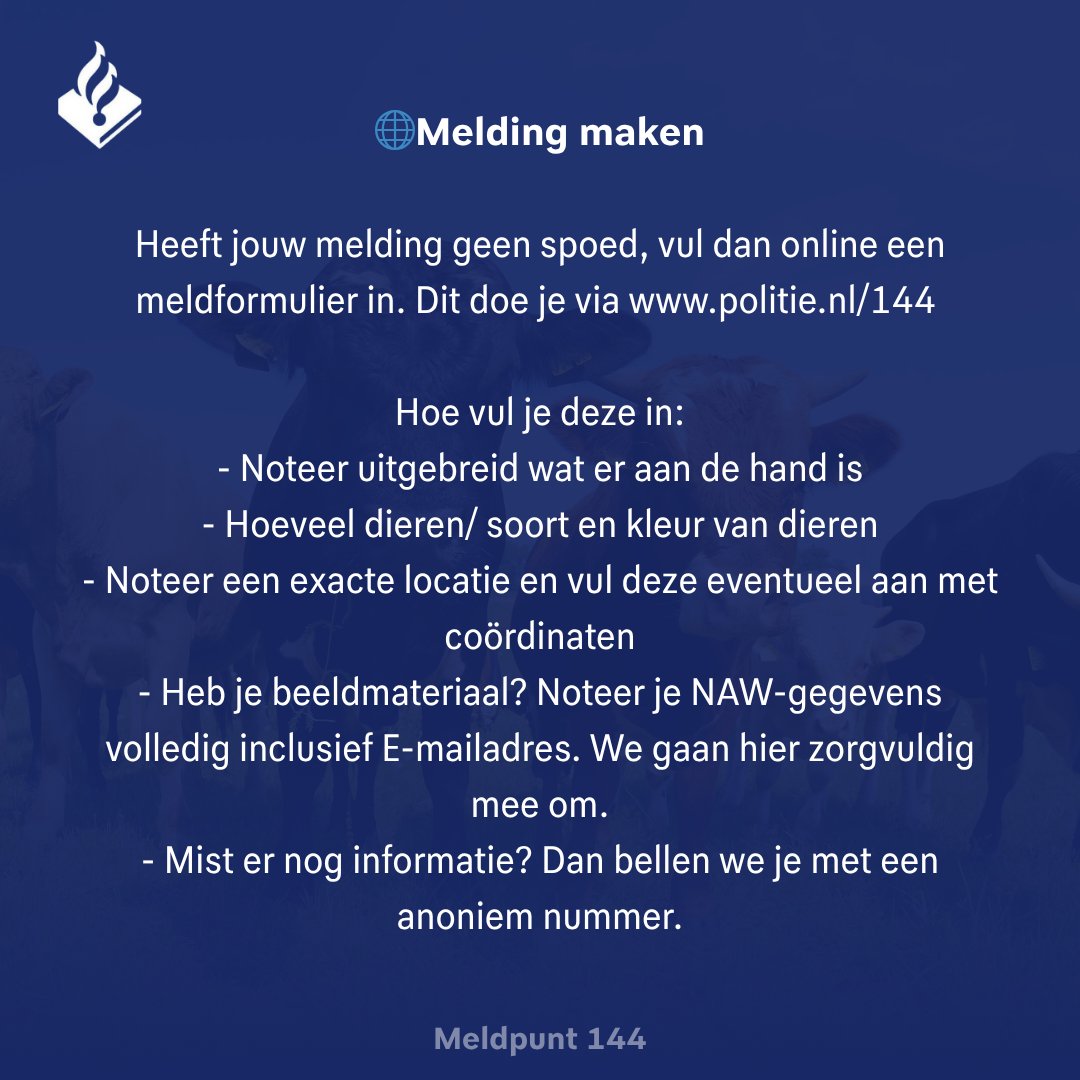 Meldpunt144's tweet photo. 🌡️Code oranje☀️

In verband met de #hitte is er niet alleen code oranje in het land, maar merken wij dit ook aan de telefoon.
Dit betekent dat de wachttijd om een melding te doen langer kan zijn dan gebruikelijk.

Hoe kan je helpen? Check de afbeeldingen!

Dit delen = Lief! 💙 https://t.co/U7mWgSeuwP