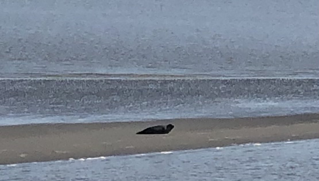 Op Ameland voor de ledenvergadering van de lokale politieke partij Ameland’82. 😊