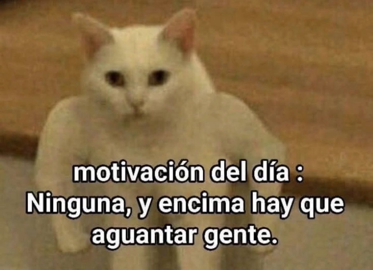 piña sin pizza (@skereunpesado) on Twitter photo 