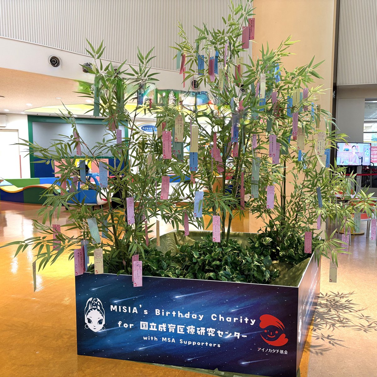 ncchd_pr's tweet image. MISIAさんの七夕飾りが今日から病院1階総合案内に設置されました!
ファンの方々、当センター院長の想いが込もった短冊も飾られています。
展示は七夕の7月7日(月)まで。ご来院の際にはぜひ短冊に願い事を書いてみませんか?