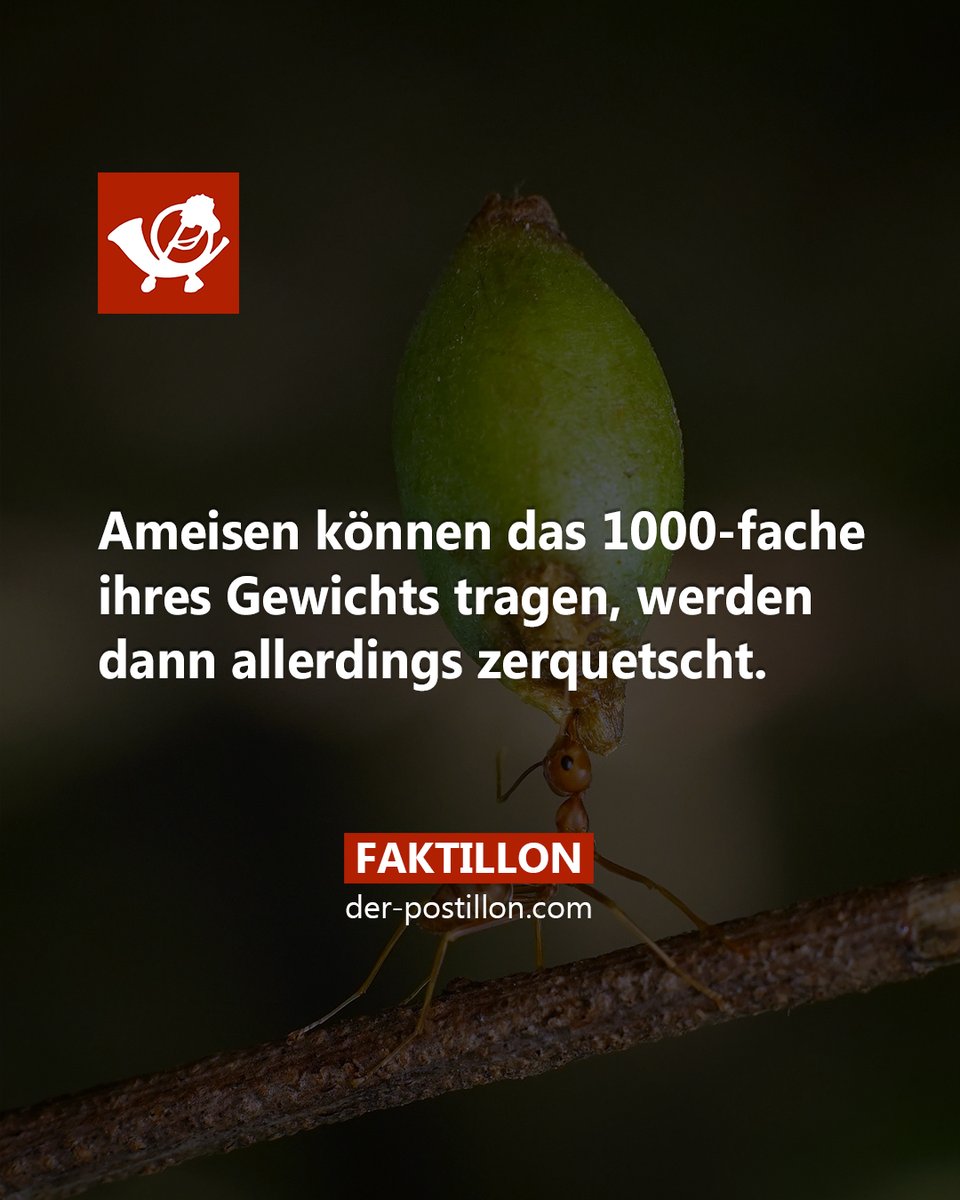 Faktillon's tweet image. Die besten Fakten als Buch 馃憠 shopillon.de/faktillon/
Ehrliche Nachrichten auf 馃憠 der-postillon.com