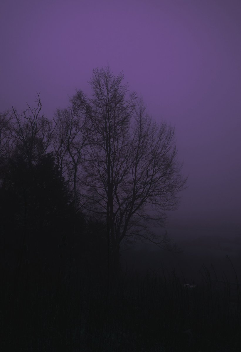 Happy #tezostuesday 💜💜

‘My purple dream’ 
8/15 || 6 tez ⬇️