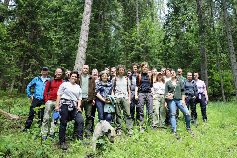 El proyecto europeo INFORMA Forests avanza hacia una gestión forestal adaptada al cambio climático f.mtr.cool/kvmqjdahzo

🔘 Coordinado por el Grupo de Investigación en TICs contra el Cambio Climático del Instituto ITACA.