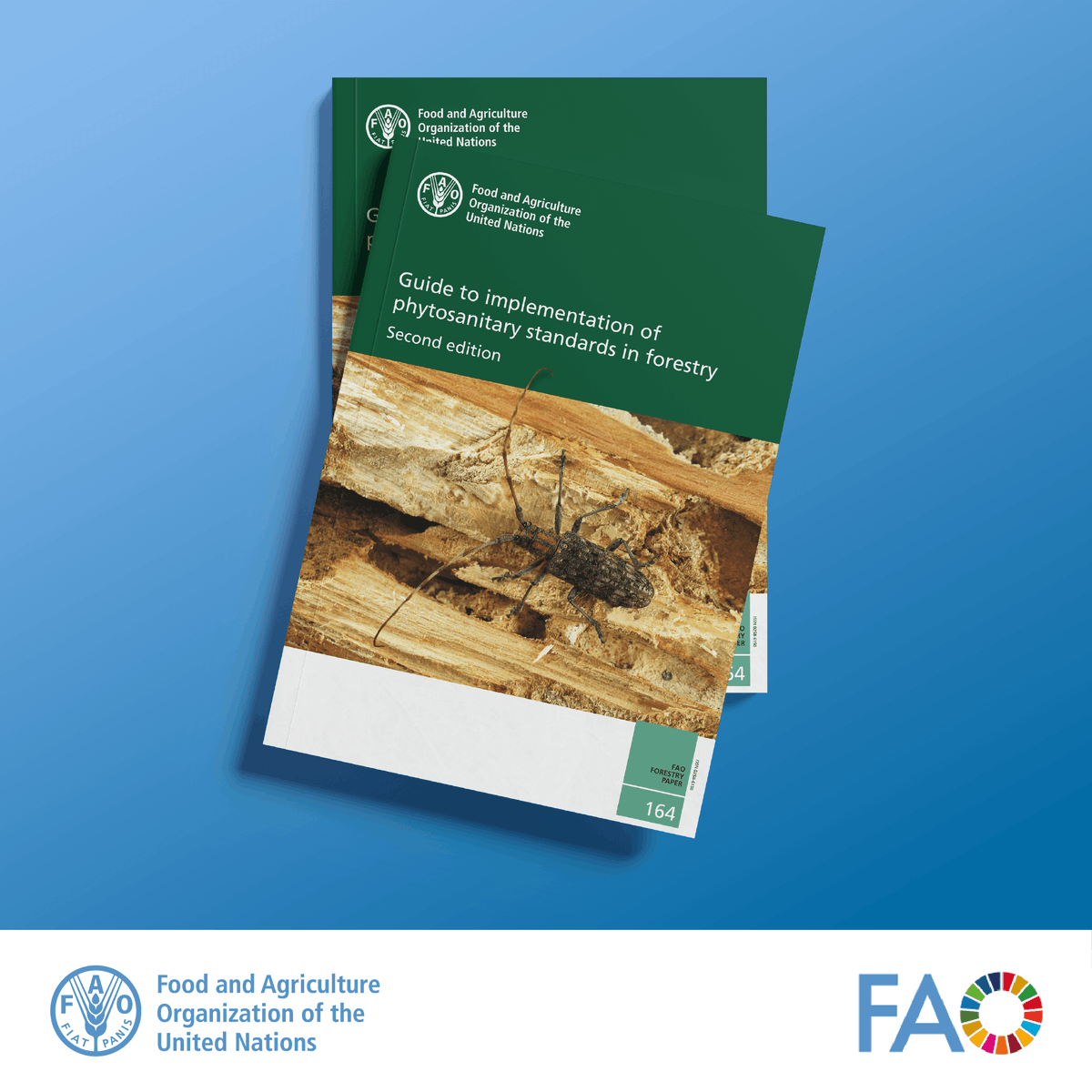 FAO Forestry (@faoforestry) on Twitter photo 🌳 Check out <a href="/FAO/">Food and Agriculture Organization</a>'s updated Guide to implementing phytosanitary standards in forestry, including good practices for forest health protection to help reduce the human-facilitated spread of forest pests🪳
🔗doi.org/10.4060/cd3046…
<a href="/ippcnews/">IPPC | International Plant Protection Convention</a> 🌳 Check out <a href="/FAO/">Food and Agriculture Organization</a>'s updated Guide to implementing phytosanitary standards in forestry, including good practices for forest health protection to help reduce the human-facilitated spread of forest pests🪳
🔗doi.org/10.4060/cd3046…
<a href="/ippcnews/">IPPC | International Plant Protection Convention</a>