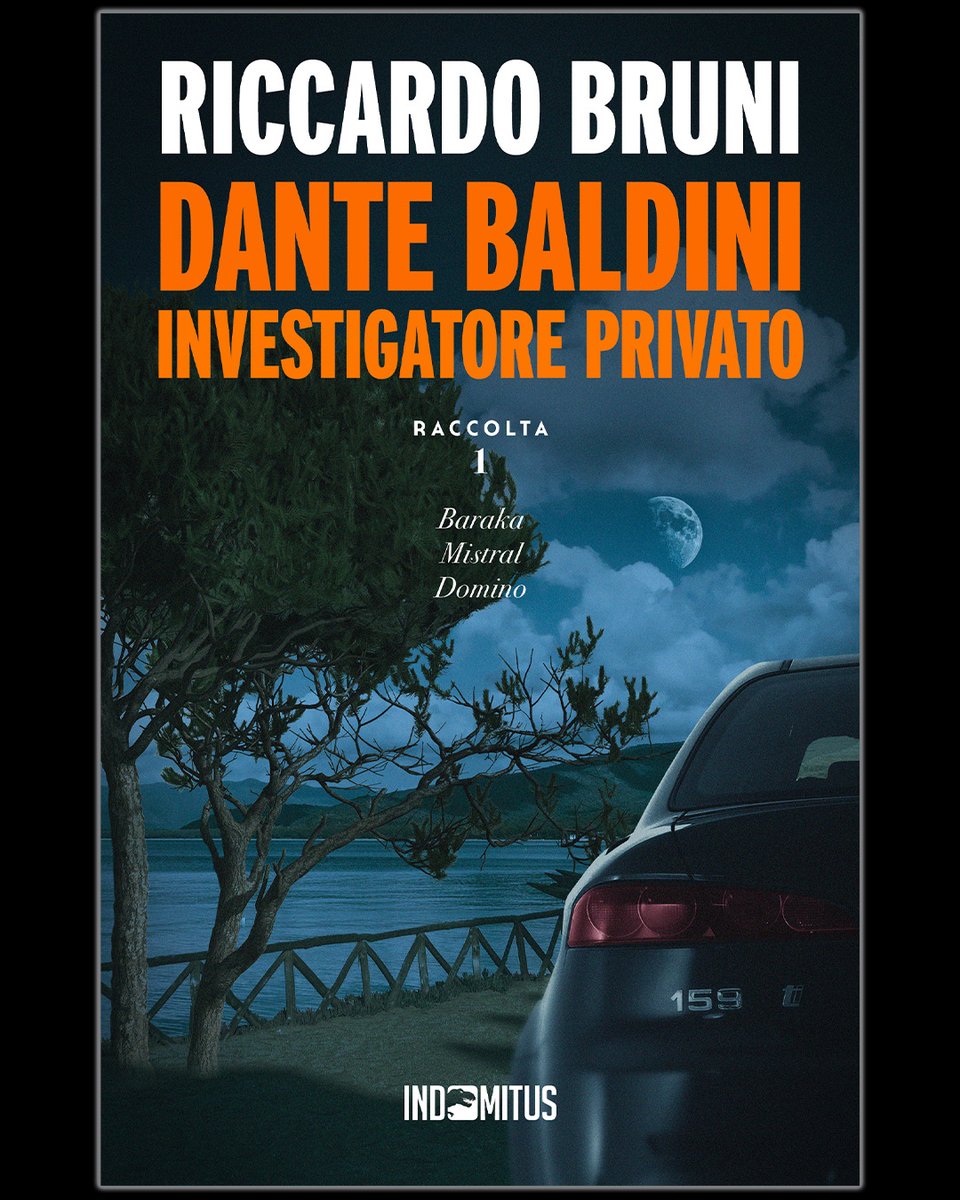 🔎 Pronto per un'#estate di indagini e misteri a prezzo imbattibile? 🔎
Oggi, #1luglio 2025, esce "Dante Baldini, Investigatore Privato: Raccolta 1" di Riccardo Bruni! 📚☀️ Perfetto per le tue #lettureestive sotto l’ombrellone o in un fresco rifugio di montagna!
LEGGILO SUBITO 👉