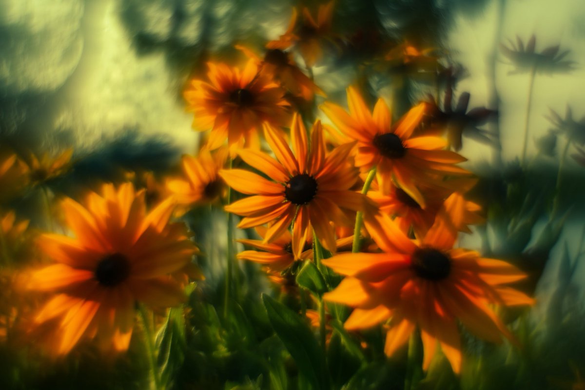 Good morning!

garden of dreams
4/7 left

Shot with Helios 44/2

4 xtz

objkt.com/tokens/KT1Hrhk…