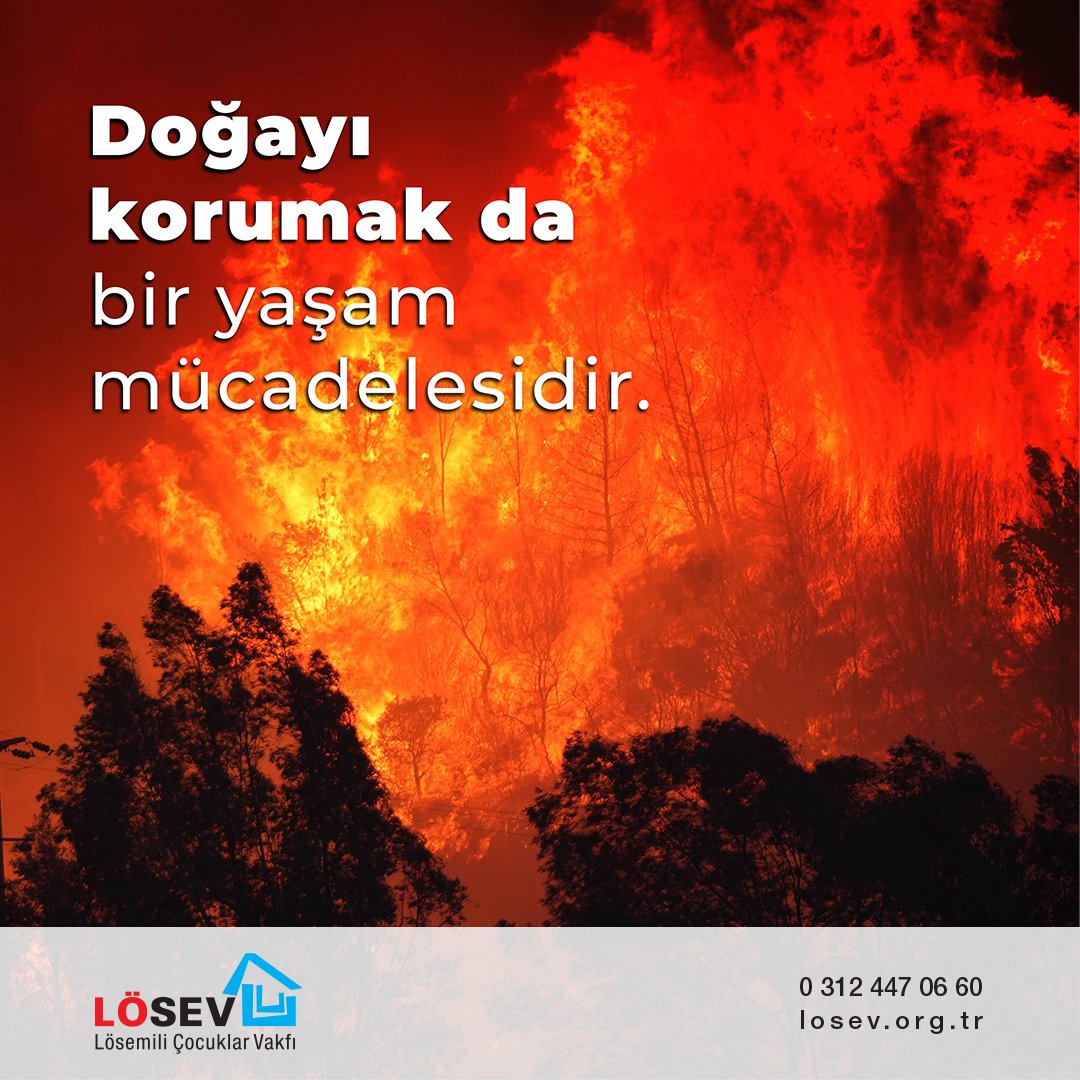 Ülkemizin çeşitli bölgelerinde devam eden orman yangınlarında yaşamını yitiren tüm canlılar için derin bir üzüntü içerisindeyiz.
LÖSEV olarak yalnızca lösemiyle değil, hayat veren ve iyileştiren tüm değerlerle ilgileniyoruz.

Ormanlarımızı kaybettikçe, çocuklarımıza bırakacağımız