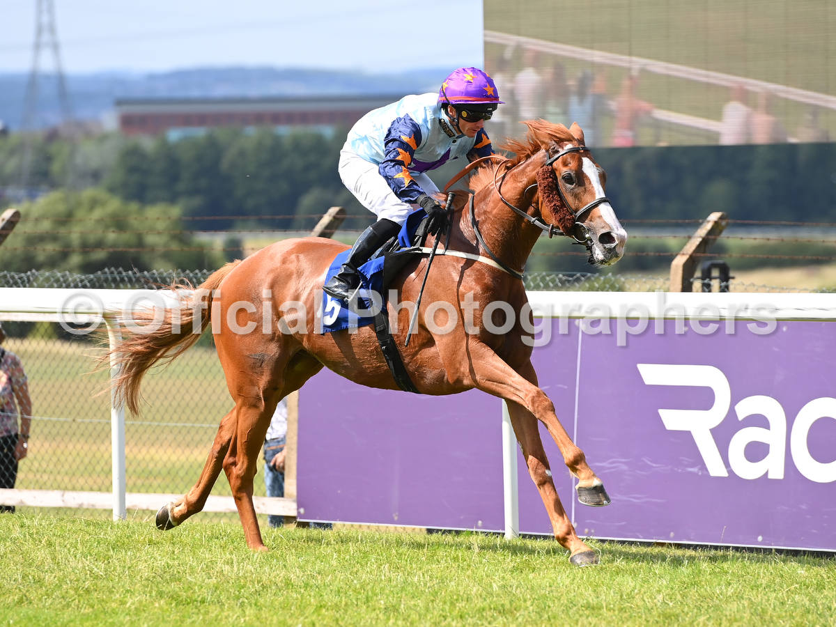 OfficialPhotographers (@offphoto) on Twitter photo MOUNT KING & <a href="/dallan555/">david allan</a> win at Pontefract for trainer <a href="/EasterbyTim/">Tim Easterby Racing</a> and owners Ryedale Partners No1. Check out all the official photographs at onlinepictureproof.com/officialphotog… <a href="/IrishNatStud/">Irish National Stud</a> MOUNT KING & <a href="/dallan555/">david allan</a> win at Pontefract for trainer <a href="/EasterbyTim/">Tim Easterby Racing</a> and owners Ryedale Partners No1. Check out all the official photographs at onlinepictureproof.com/officialphotog… <a href="/IrishNatStud/">Irish National Stud</a>
