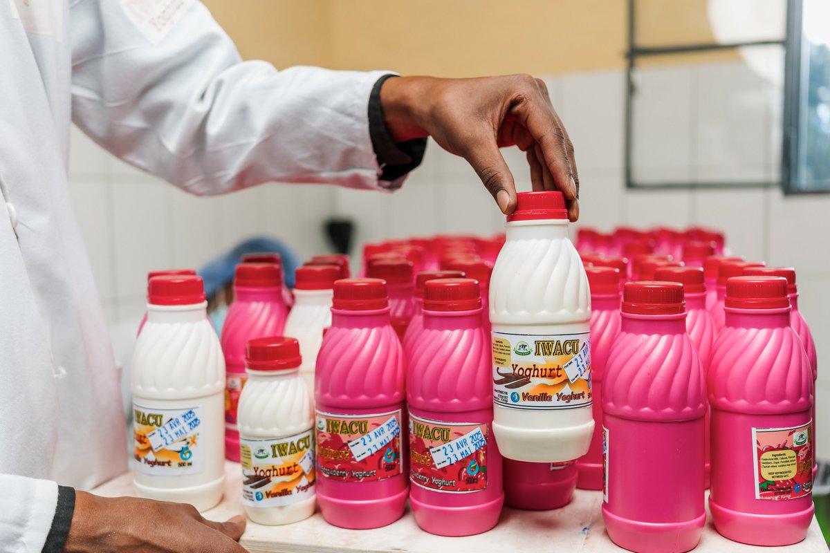 Who said starting small means staying small?
🔹From idea to enterprise
🔹From 20L to 300L daily 
Jackson is proof that growth knows no limits.

One step is all it takes to start your journey — will you take it?
🚀 Get ready — full story lands this Friday. 
#RwandaRuralAgriStars