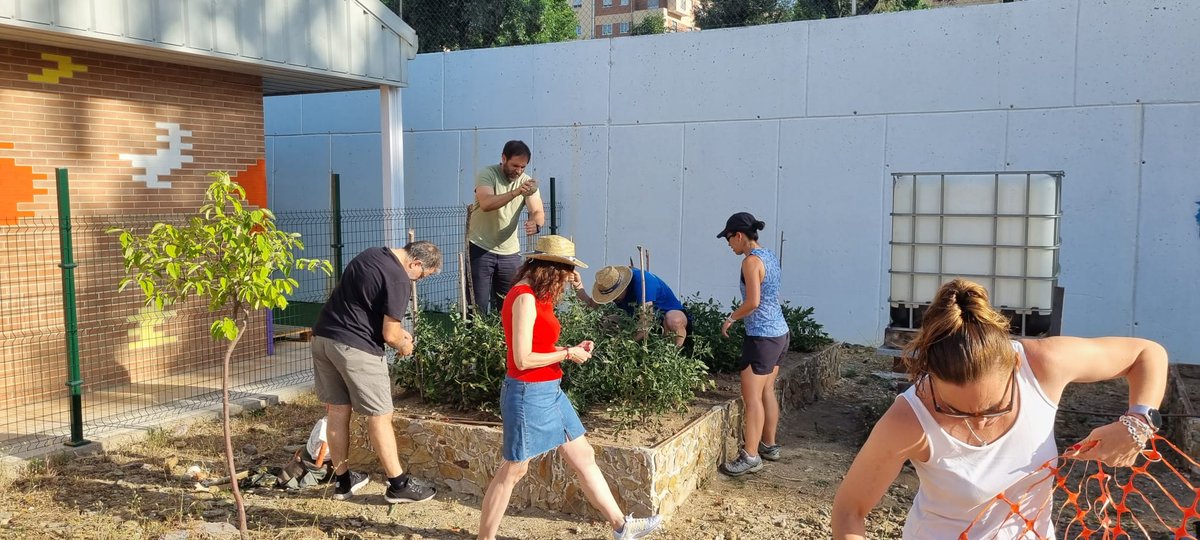 trinitariossala's tweet photo. Durante estos días seguimos trabajando en la mejora de nuestro colegio haciendo especial hincapié en la biblioteca escolar y el huerto. #huertoescolar #biblioteca #somosfest #centrosfest #contigocambiatodo #colegiotrinitarios #trinitariossalamanca #Trinitarios https://t.co/5ZANeIFY41