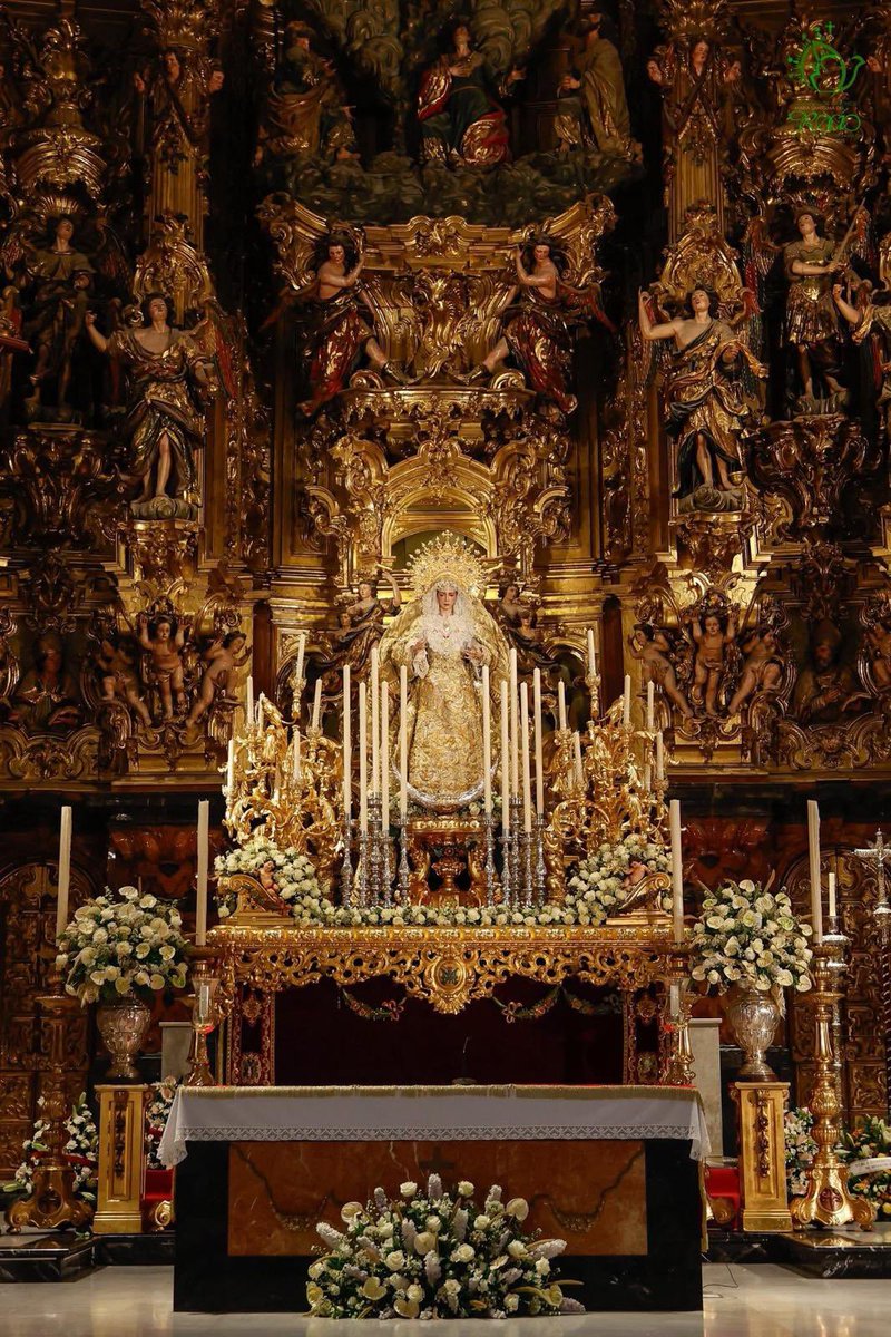 La Virgen del Rocío <a href="/Hdad_Redencion/">Hermandad de la Redención</a> en el altar mayor del Salvador donde se celebrarán los cultos previos a la coronación. Porta el manto de la Esperanza de la Yedra de Jerez <a href="/HermandadYedra/">Hermandad de la Yedra</a> y la saya de Álvaro Abril.