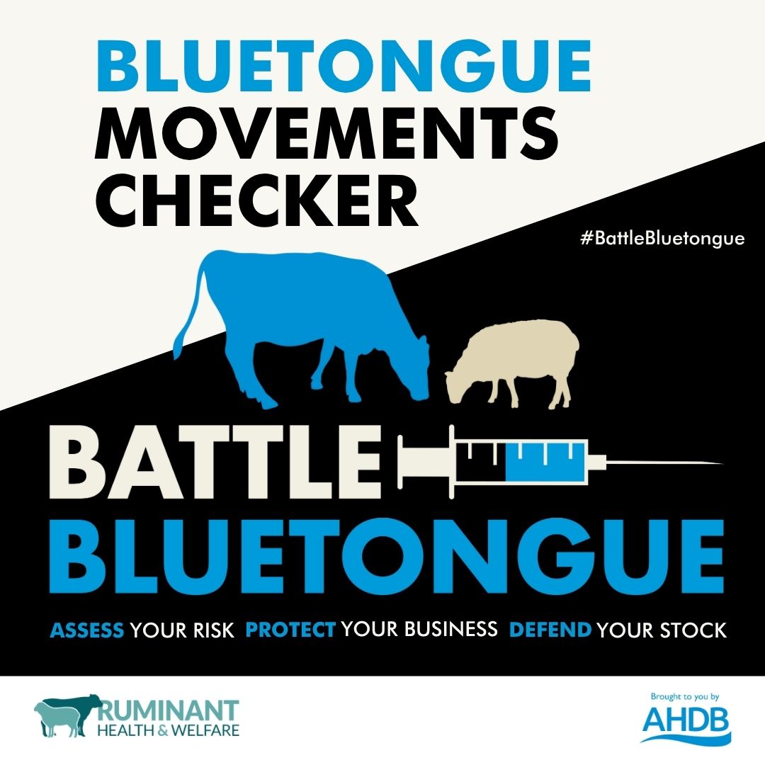 The Bluetongue Movements Checker is an online tool created to help farmers navigate the complex and changing bluetongue serotype 3 (BTV-3) restrictions impacting livestock movement between England, Scotland and Wales. Find it here: bit.ly/44nr1DI
<a href="/ruminanthw/">Ruminant Health & Welfare</a> &amp; <a href="/TheAHDB/">AHDB</a>