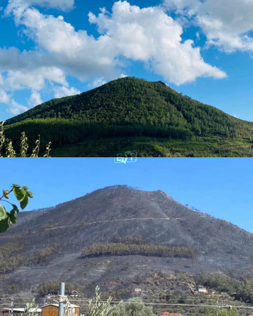 İzmir Seferihisar’da çıkan yangının öncesi ve sonrası: