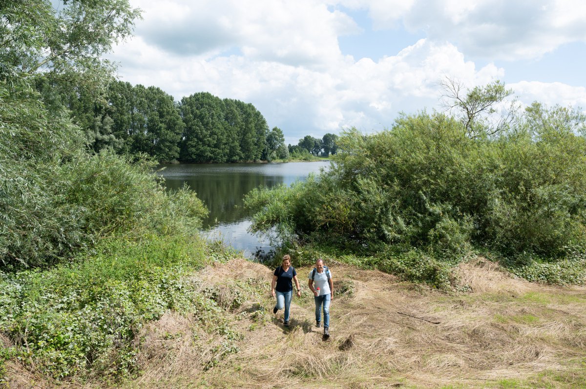 Meer ruimte voor rivierwandelen in de maak! 🥾 Lekker banjeren langs de rivier. Lopen door mooie uiterwaarden of soms over de dijk. Dat moet vaker kunnen in plaats van minder. Lees de column van Derk van der Laan 👉 wandelnet.nl/nieuwsbericht/…

📸 Ad Snelderwaard