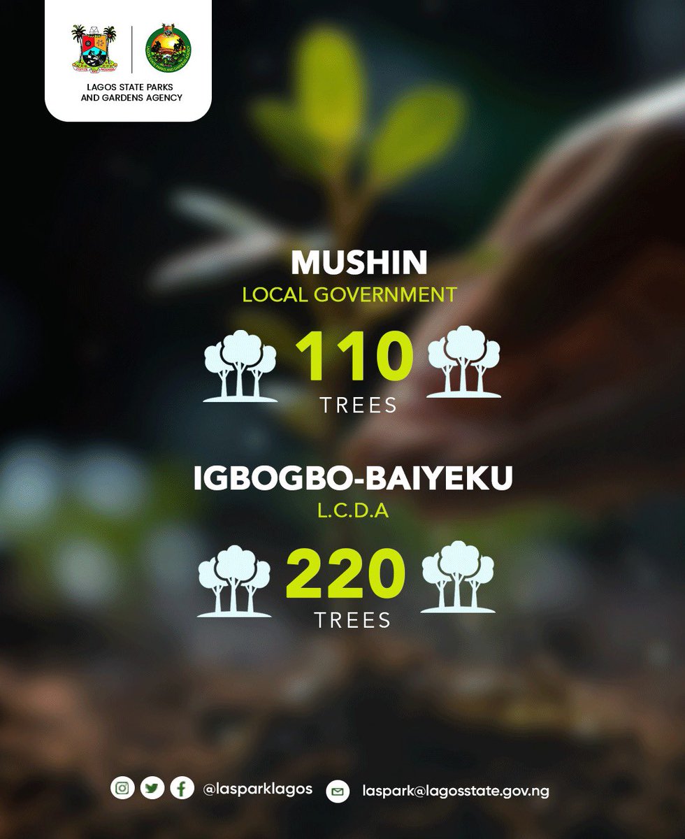 We’re now 1,203 trees closer to our goal of a greener Lagos!
Huge thanks to everyone who planted with us this month — your efforts are growing a healthier, greener city.
Let’s keep the momentum going! 🌳💚
#GreenerLagos #HealthierLagos #PlayLagos #Roadto20000Trees #PlantMoreTrees