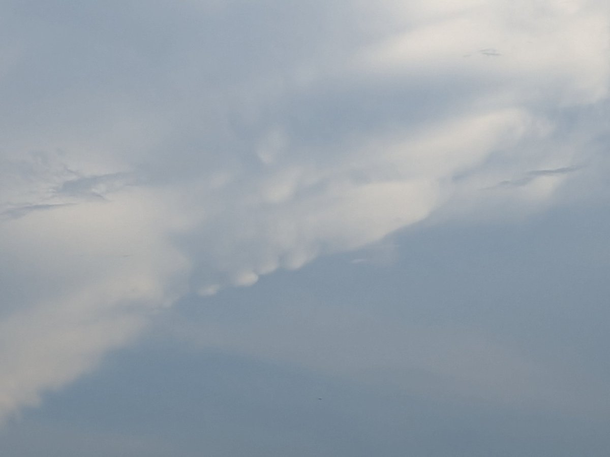 南の空にmammatus
かなとこ部分の拡がりが凄い