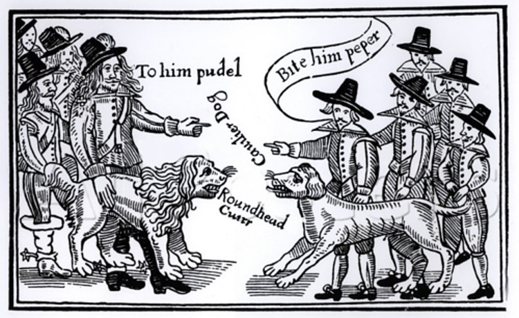 Cruelly taken from us #OTD at the battle of Marston Moor in 1644. Boye, Prince Rupert's fabulous (big) poodle. He had been tied up for safety but escaped and ran into the melee #Poodlehistory