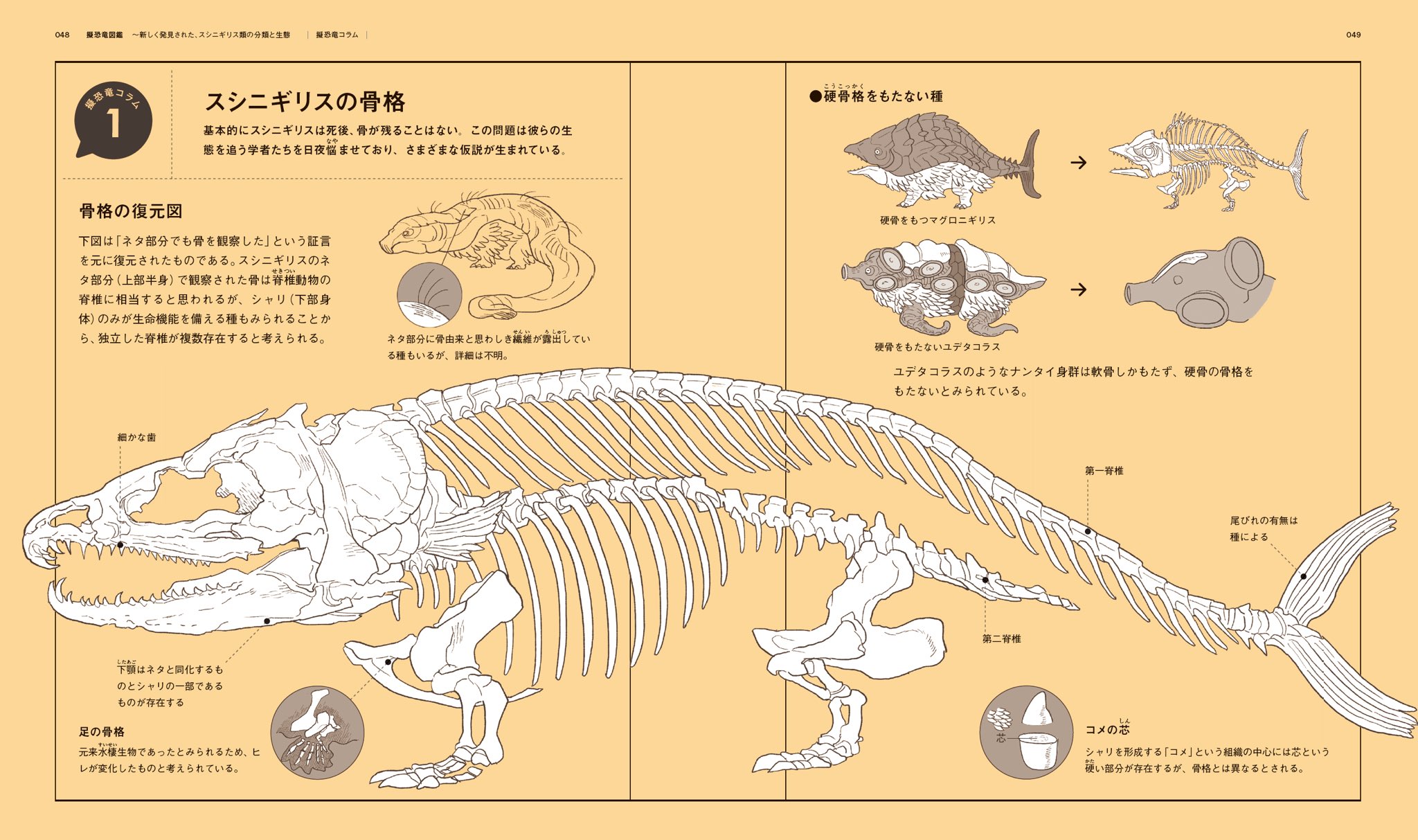 ʕ•̀ω•́ʔ✧くま様　オーダー専用ページ OY くま セーター