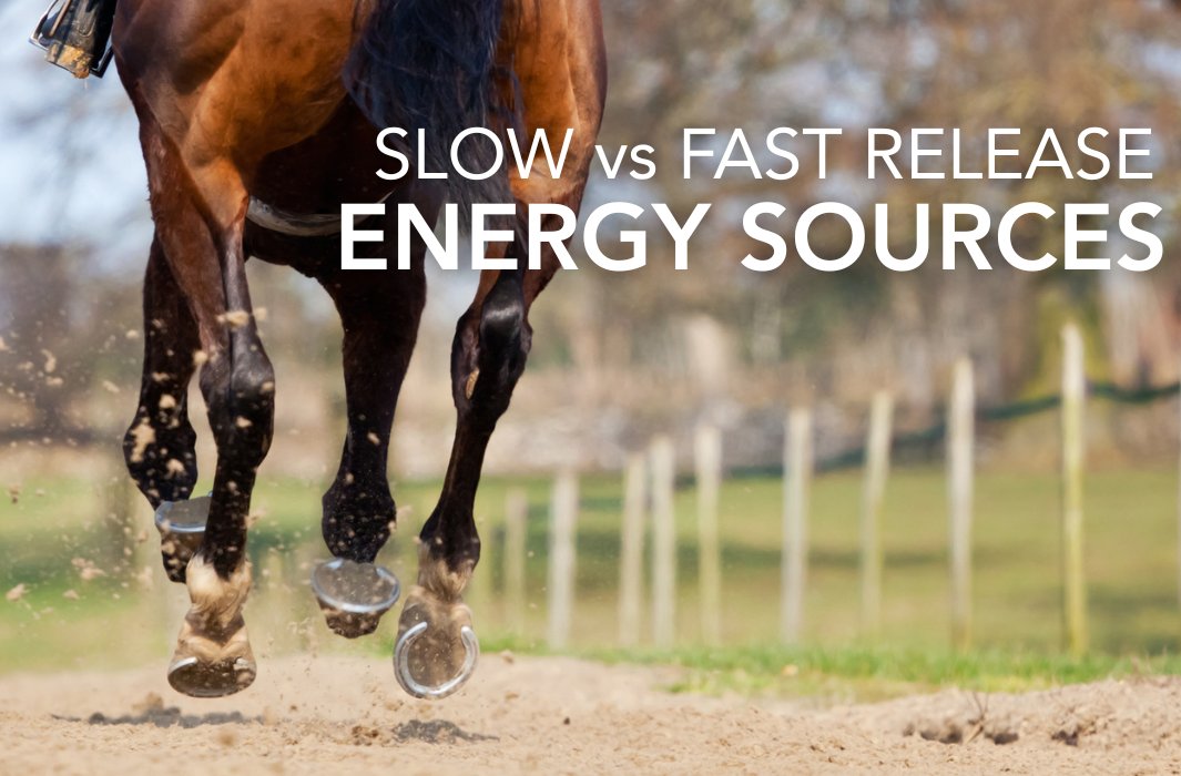 Different types of feed are digested at different rates, leading to differing rates of immediate energy availability in the working muscle.

feedmark.com/en/slow-releas…