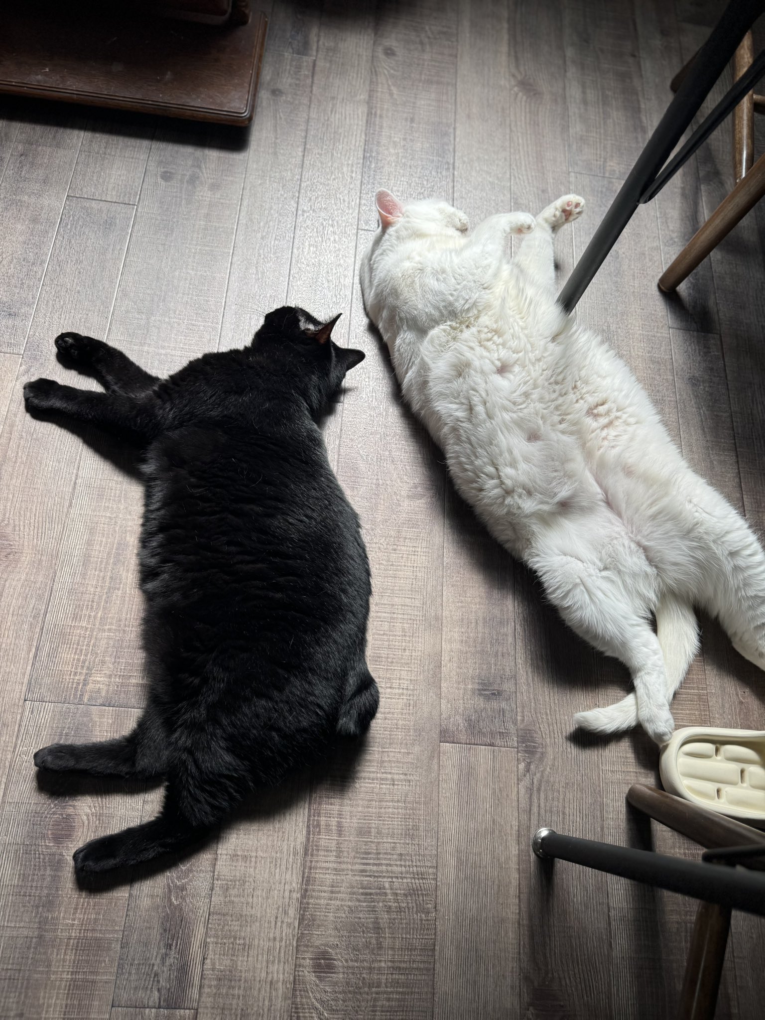 ☆ねこさま専用☆ わんちゃん・ねこちゃん用お姫様風ベッド Sサイズ│身近な優れ