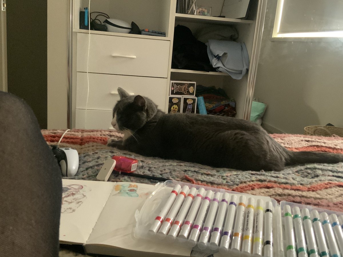 _NeaKarlsson_'s tweet photo. I don’t like cats, but they always find a way to be around me.
Like, does this always happen? Do they sense that I don’t like them? AND SHE IS TAKING UP ROOM ON MY BED HELP!!! https://t.co/oVYOJZ1bOF