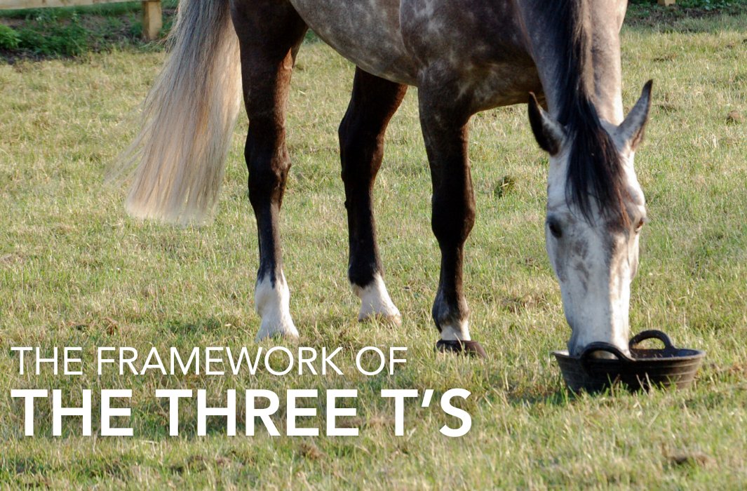 The basics of good nutrition come down to three factors; Type, Timing and Total.

feedmark.com/en/nutrition-b…