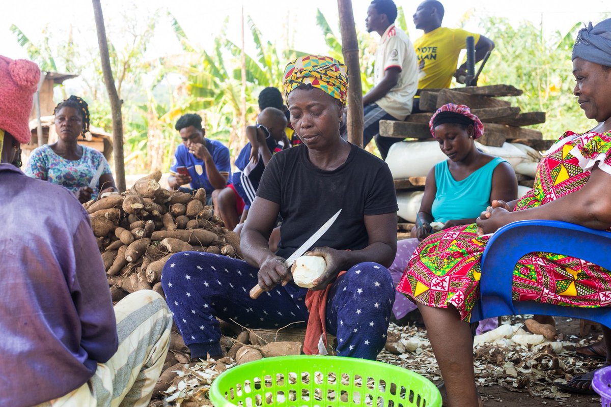 UNUINRA's tweet image. “The Future of agriculture lies in our ability to innovate and adapt to the pressing challenges of climate change, food security and environmental degradation.”
@Fatima_Denton (Director, UNU-INRA)
#INFoCAT