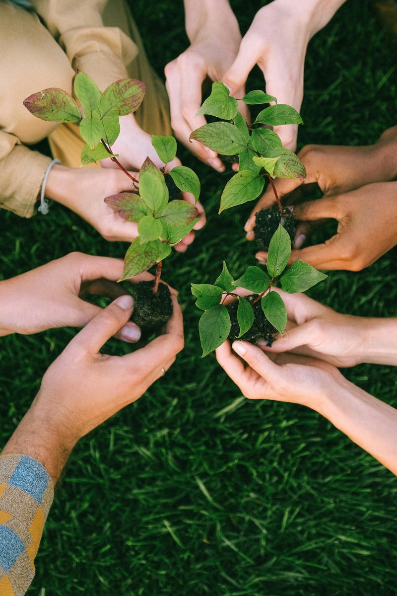encampusuc3m's tweet image. Nuestro compromiso con la sostenibilidad es más fuerte que nunca. 🌍
Descubre las iniciativas que estamos implementando para reducir nuestra huella ambiental en la #UC3M. 💚
Más info 👉 goo.su/EUl2rVQ
#SostenibilidadUC3M #CuidadoDelPlaneta