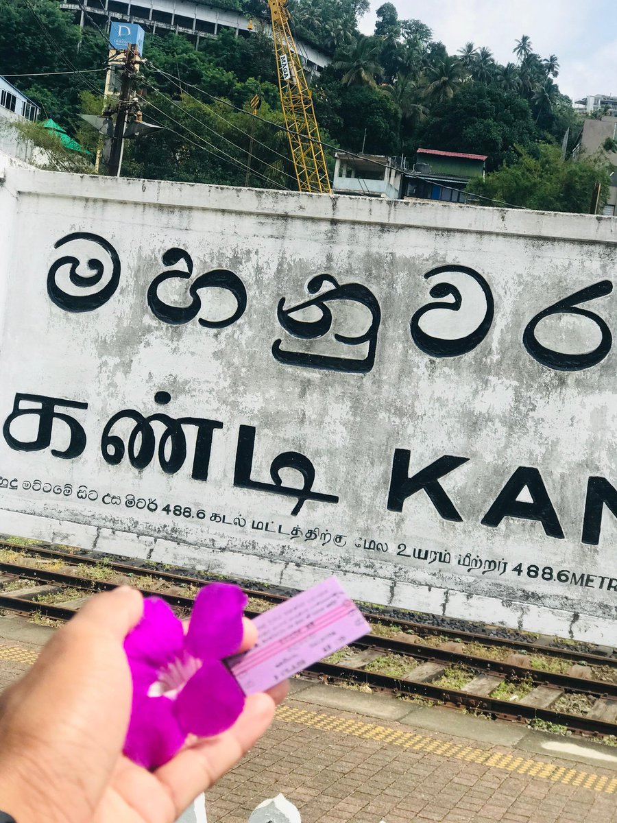 Pink_panthar ✨️🪐 tweet media