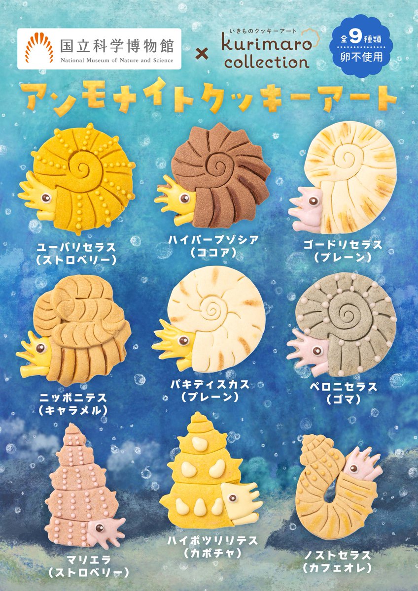 ✨クッキーが新登場✨

日本館地下1階ラウンジ内「くじらカフェ」で新たに
◤アンモナイトクッキー◢
を発売します🥳

当館のアンモナイト研究者である重田康成グループ長が監修しました！

なんと、種類は9種類👀❗
みなさんのお気に入りはどの子でしょうか？

7月18日から発売予定です！お楽しみに！