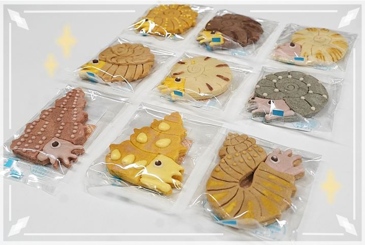 museum_kahaku's tweet photo. ✨クッキーが新登場✨

日本館地下1階ラウンジ内「くじらカフェ」で新たに
◤アンモナイトクッキー◢
を発売します🥳

当館のアンモナイト研究者である重田康成グループ長が監修しました！

なんと、種類は9種類👀❗
みなさんのお気に入りはどの子でしょうか？

7月18日から発売予定です！お楽しみに！ https://t.co/qgV05mdyyr