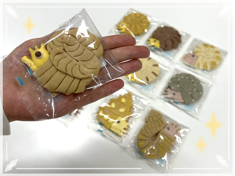 museum_kahaku's tweet photo. ✨クッキーが新登場✨

日本館地下1階ラウンジ内「くじらカフェ」で新たに
◤アンモナイトクッキー◢
を発売します🥳

当館のアンモナイト研究者である重田康成グループ長が監修しました！

なんと、種類は9種類👀❗
みなさんのお気に入りはどの子でしょうか？

7月18日から発売予定です！お楽しみに！ https://t.co/qgV05mdyyr