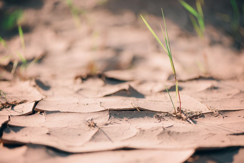 🔴Europe's #drought is a critical call to action. We're flushing away a key solution: over 80% of our #wastewater goes unused.

💧 We must scale up #WaterReuse and smart storage like Managed Aquifer Recharge to build resilience.

➡️ marclaimed.eu/europes-worsen…
