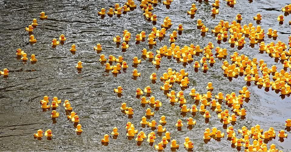 Echo Herefordshire tweet media