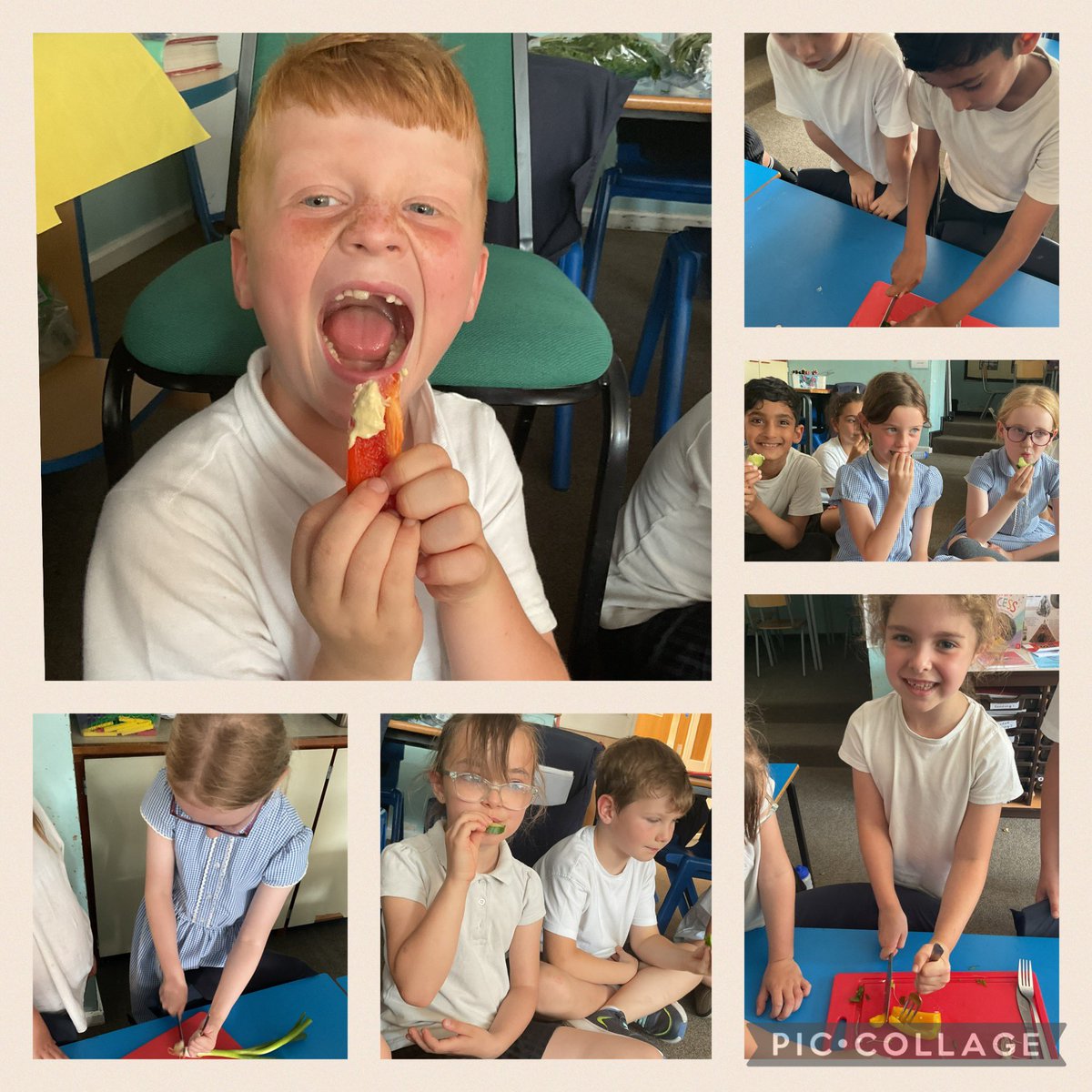 This week, Year 2 took on a tasty DT challenge:designing a balanced wrap!🌯 They learnt how to safely prepare food and tried a range of delicious combinations they might include in their final wraps!🍴🥒🫑🧀