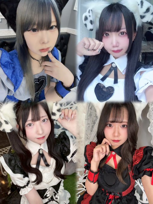 わんわんPRIMOのツイート