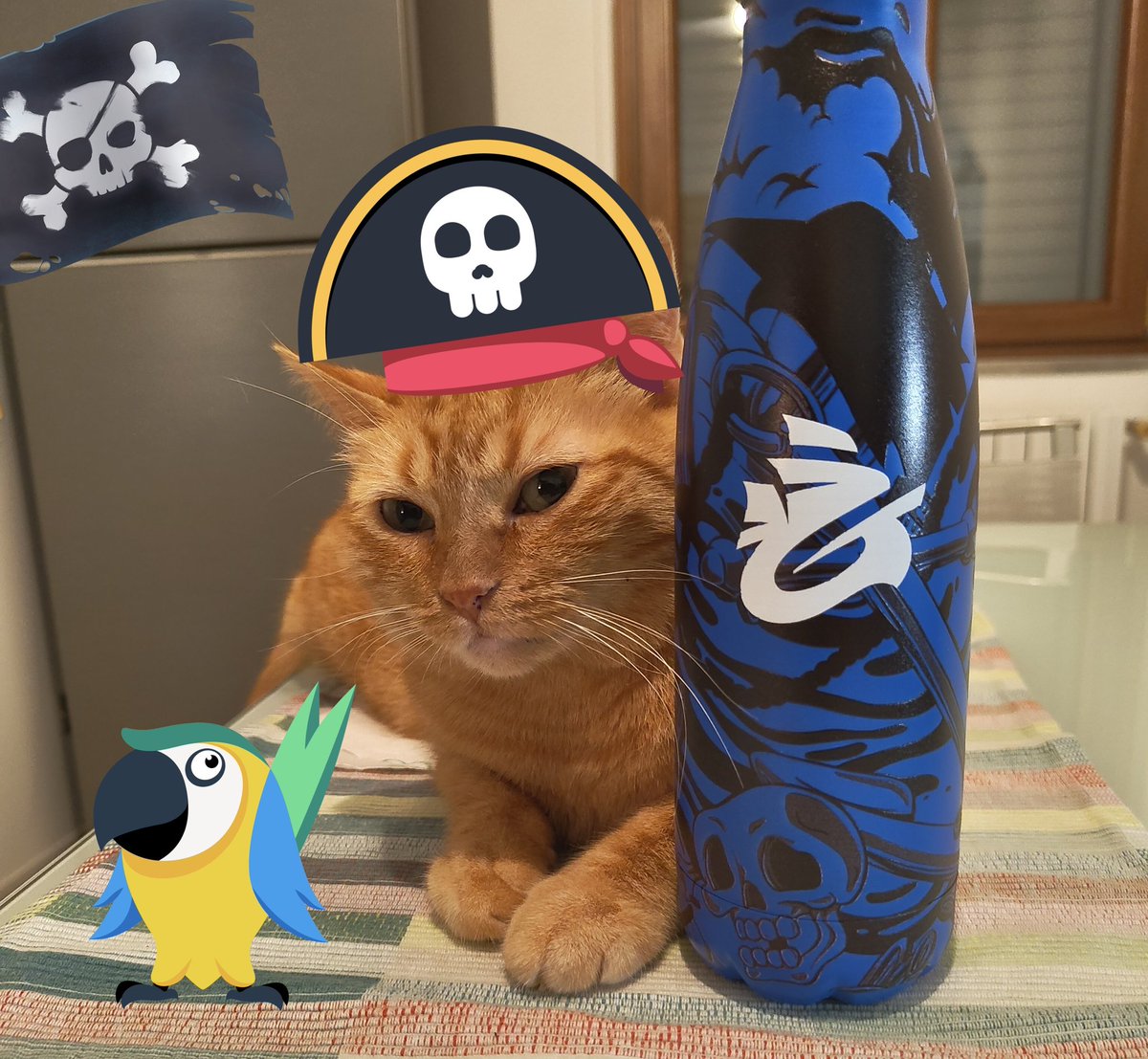 GL Balleeno (@balleeno) on Twitter photo EEC game 1 at 22:00 vs <a href="/SNComets/">Supernova Comets</a>.
Pirates assemble! It's time to cut some throats, Aaaarrrrgggghhhh!🏴☠️
#NoMercy #EqualEsportsCup EEC game 1 at 22:00 vs <a href="/SNComets/">Supernova Comets</a>.
Pirates assemble! It's time to cut some throats, Aaaarrrrgggghhhh!🏴☠️
#NoMercy #EqualEsportsCup