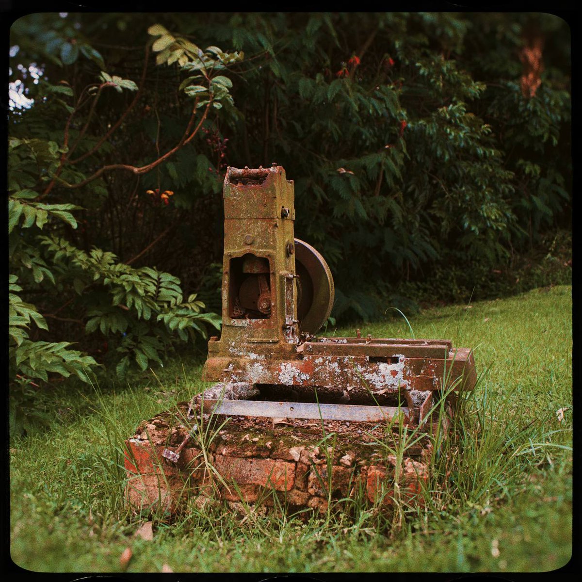 AGENT MGUMBE tweet media