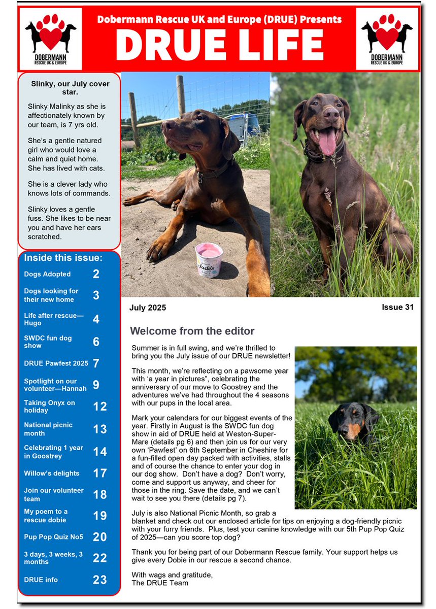 UkRescue's tweet image. The July issue of DRUE Life newsletter is now available to download! This month's edition is packed with paws-itive stories, expert advice, and updates from the world of Dobermann rescue. Download your copy here: dobermannrescueuk.co.uk/drue-life-news…
Make sure you never miss an issue by…