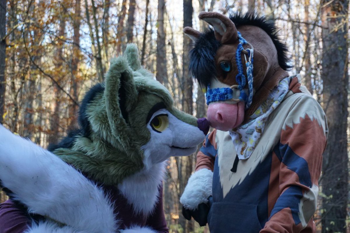 Boop the horse snoot :3 /w <a href="/nadamefloof/">N a d i 🍪 (@nadamefloof.bsky.social)</a>