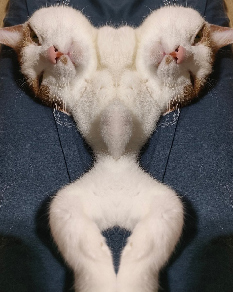 天使が悪魔になってしまった